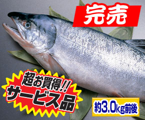 新巻鮭