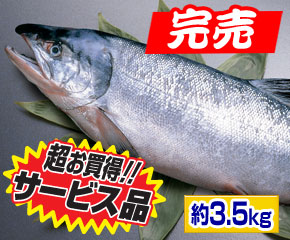 新巻鮭