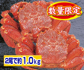 毛蟹