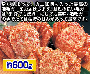 活毛蟹