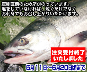生ときしらず