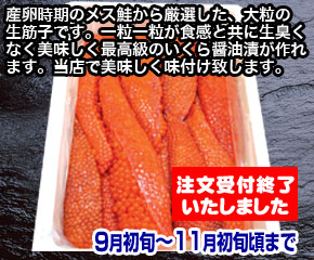 新物いくら
